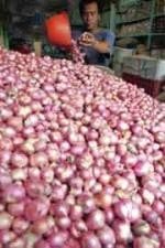  Harga bawang merah di Cirebon turun