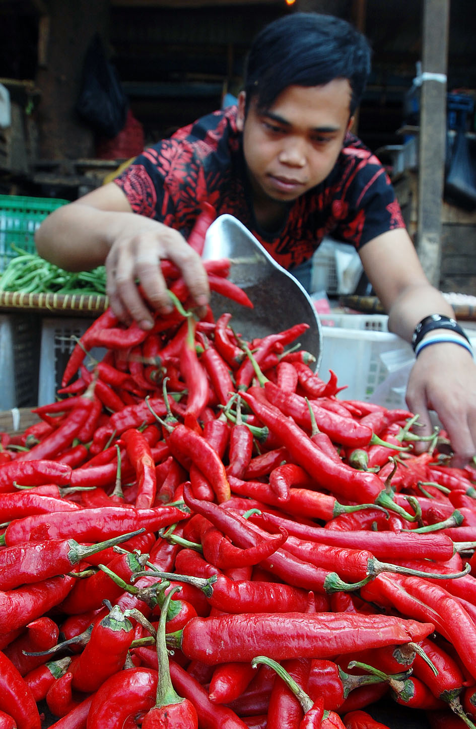  FOTO: Harga cabai di Kota Bandung turun