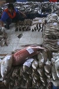  Nelayan tidak menikmati kenaikan harga ikan