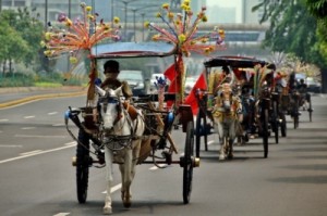  Pendapatan penarik kuda & delman di Bandung turun 