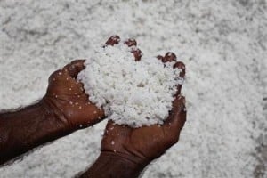  Bea Cukai segel garam impor asal India 29.050 ton