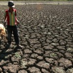  Ratusan hektare sawah Kab. Bandung kekeringan