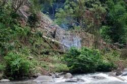  Cegah kebakaran, warga sekitar hutan di Bandung diminta waspada