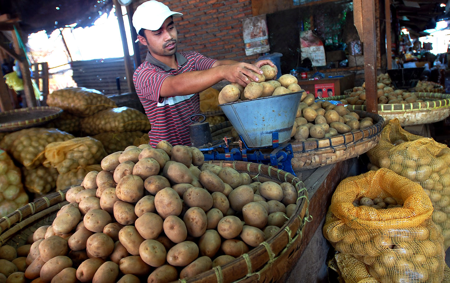  FOTO: Kentang impor banjiri pasar