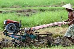  Petani Garut butuh traktor