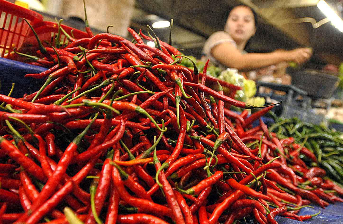  FOTO: Jelang Idul Adha harga cabe terus merangkak naik