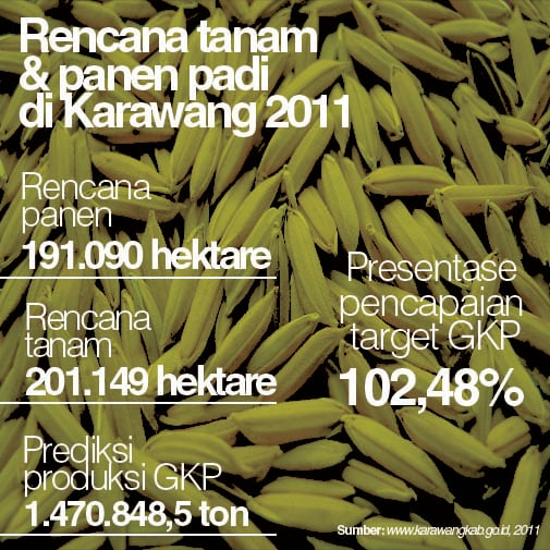 Realisasi rencana tanam padi di Karawang capai 99,54% 