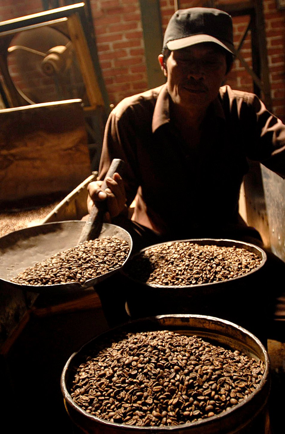  FOTO: La Nina ancam produksi kopi Indonesia