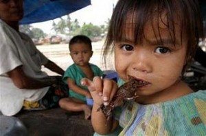  Banjir Kamboja picu kekurangan daging tikus