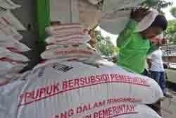  Penyalahgunaan pupuk bersubsidi rugikan negara Rp1,05 miliar