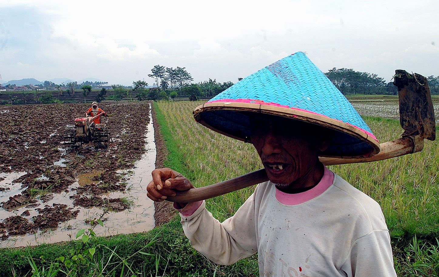  FOTO: Realisasi cetak sawah baru