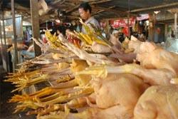  Harga telur dan daging ayam tinggi