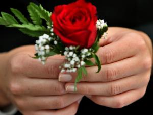  Bagaimana jika anak jatuh cinta dan ingin pacaran? 