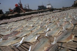  Konsumsi ikan warga Sukabumi masih rendah