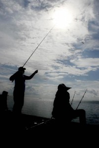  Illegal fishing di Indonesia kian memprihatinkan