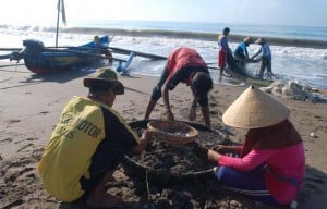  Nelayan Indramayu paceklik akibat gelombang tinggi