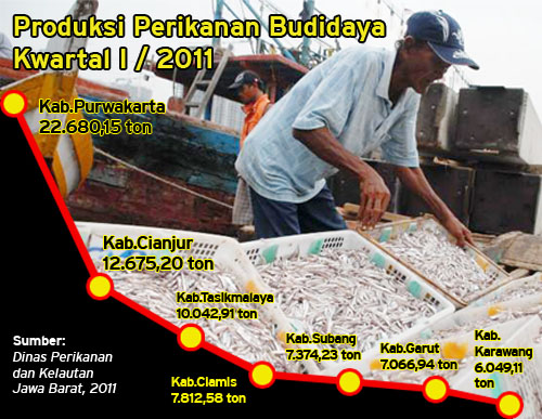  Produksi perikanan Jabar kuartal I/2011