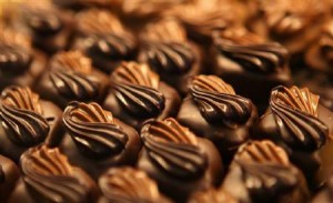  Dewan Kakao promosikan konsumsi coklat buatan lokal