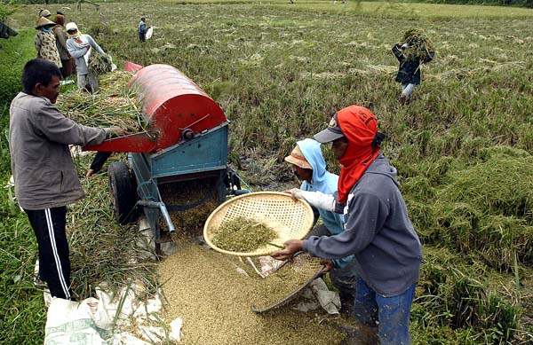  FOTO: Petani dijanjikan insentif tahun depan