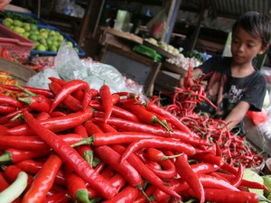  Harga cabai & sayuran di Jabar melonjak dua kali lipat