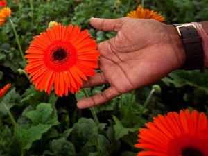  BI fasilitasi pengusaha kerajinan & hortikultura Jabar melalui bazaar