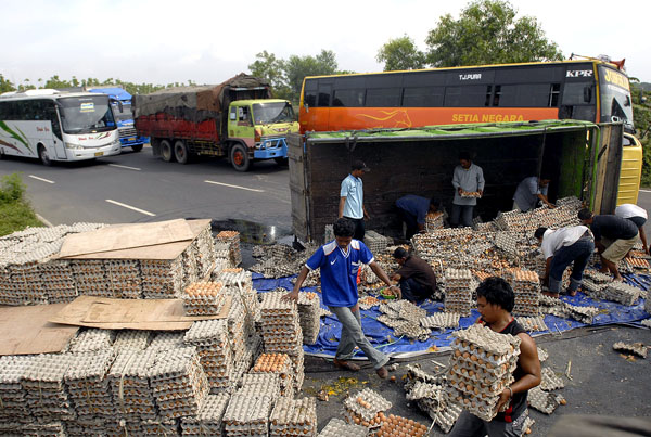  FOTO: Truk pengangkut telur terguling di jalur Pantura