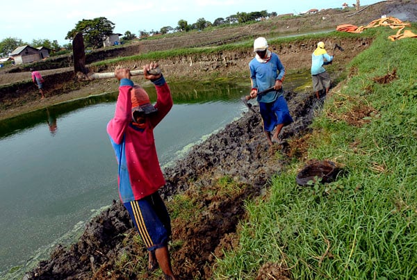  FOTO: Tambak garam Indramayu dialihkan jadi tambak ikan