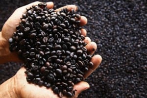  22 Merek Kopi dilarang dijual di Sukabumi