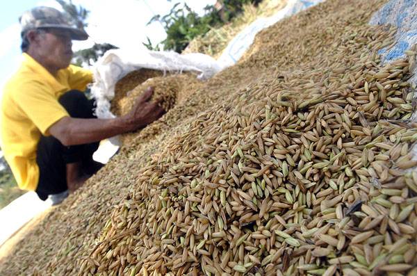  FOTO: Stok beras di Kab. Bandung surplus