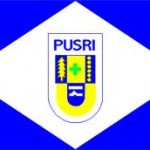  Pusri Palembang siap sinergi dengan MP3EI
