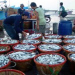  Kabar ekonomi (10/1): Ikan China masuk ke pasar ikan Indramayu