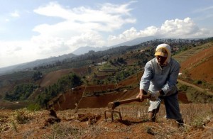  Sukabumi dukung reformasi agraria