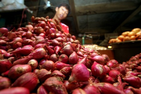  Petani di Cirebon tetap tolak bawang impor