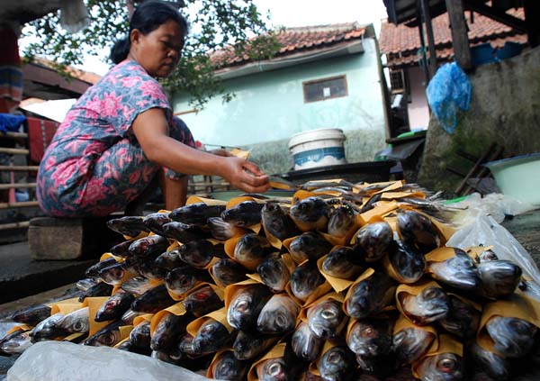  FOTO: Pasokan ikan nelayan lokal langka