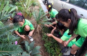  KEBUN PANGAN: Sang Hyang Seri investasi Rp3,8 triliun di lahan 40.000 Ha