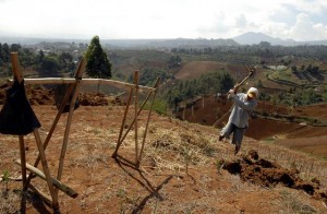  HUTAN TELANTAR: Lebih dari 30 juta ha tak diminati investor