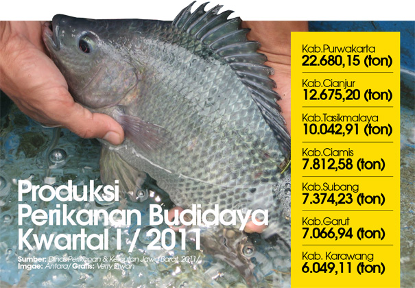  Produksi perikanan budidaya kuartal I / 2011