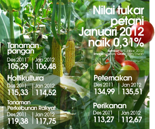  Nilai tukar petani Januari 2012 naik 0,31%