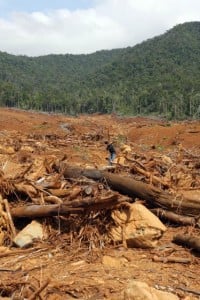  Longsor di Cianjur, 11 rumah di 2 desa rusak berat