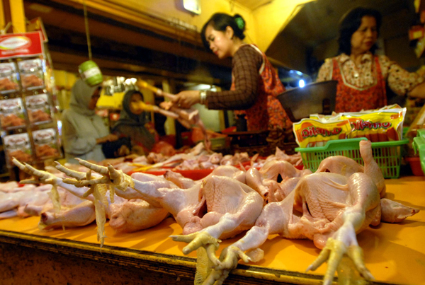  FOTO: Harga ayam di pasar tradisional masih tinggi