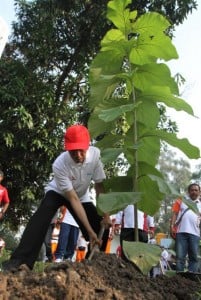  KOTA HIJAU: Kab. Ciamis tambah ruang terbuka hijau