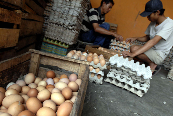  FOTO: Harga telur ayam di Bandung turun