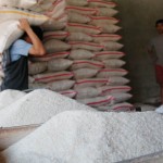  Harga beras raskin masih Rp1.600 per kg