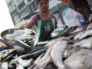  PRODUKSI IKAN: Hasil tangkapan ikan laut di Sukabumi anjlok 95%