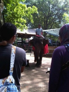  WISATA BANDUNG: Kebun binatang masih jadi favorit