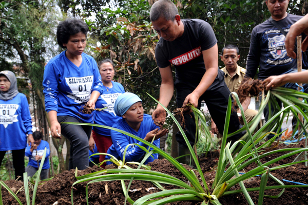  FOTO: Urban farming bersama Wakil Wali Kota Bandung Ayi Vivananda 