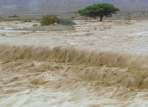  BANJIR BANDANG 2 meter landa Subang dan Ngawi