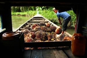  MINYAK SAWIT: Harga menguat akibat spekulasi penurunan stok Malaysia