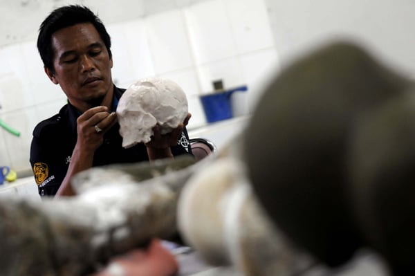  FOTO: Pembuatan replika fosil manusia di Museum Geologi Bandung