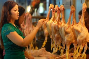  DAGING AYAM BROILER: Pemerintah bantah rencana impor dari Brasil